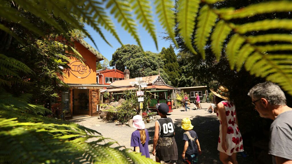 Visitors arriving at Driving Creek, a popular attraction and one of the top things to do in Coromandel, New Zealand, with courtyard views and a scenic train in the background.