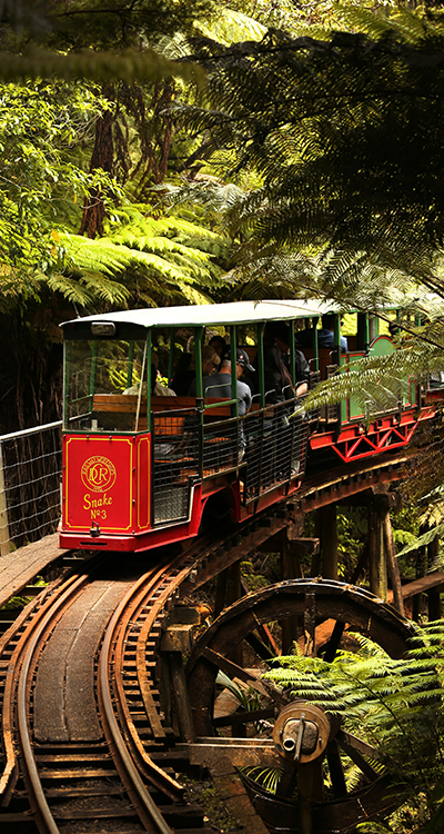 Snake Train
