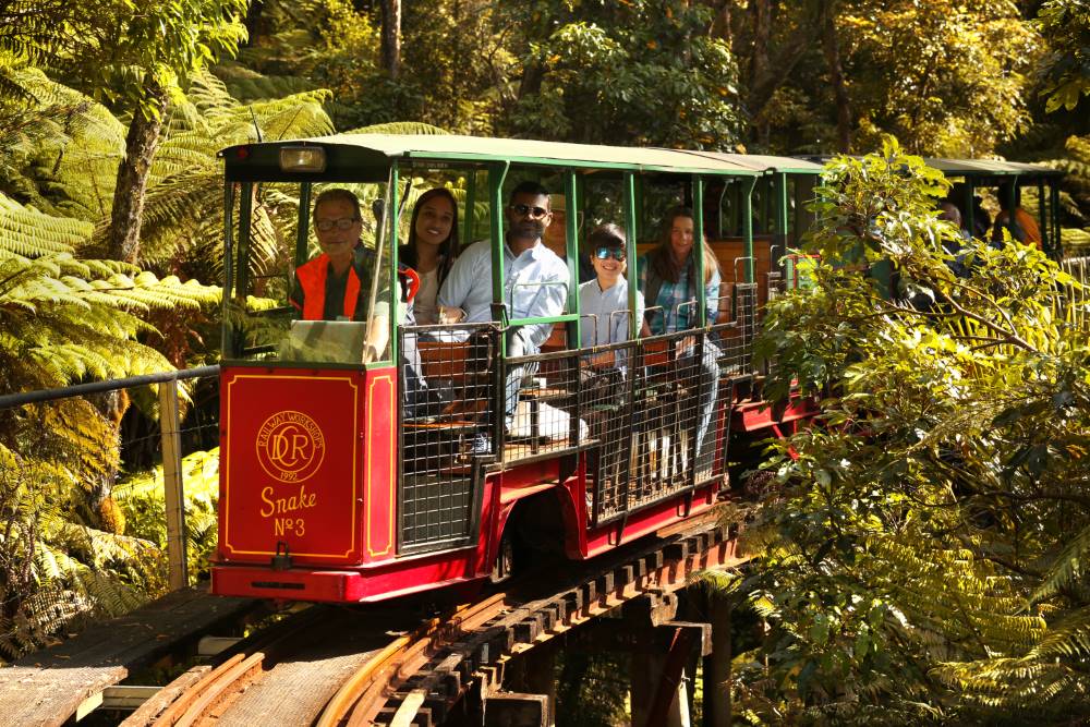 The Driving Creek Railway tour