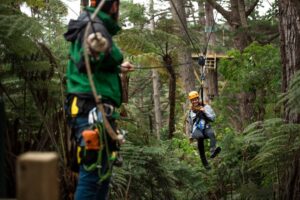Visitor enjoying a New Zealand zipline experience at Driving Creek, gliding through native bush with a guide in the foreground.